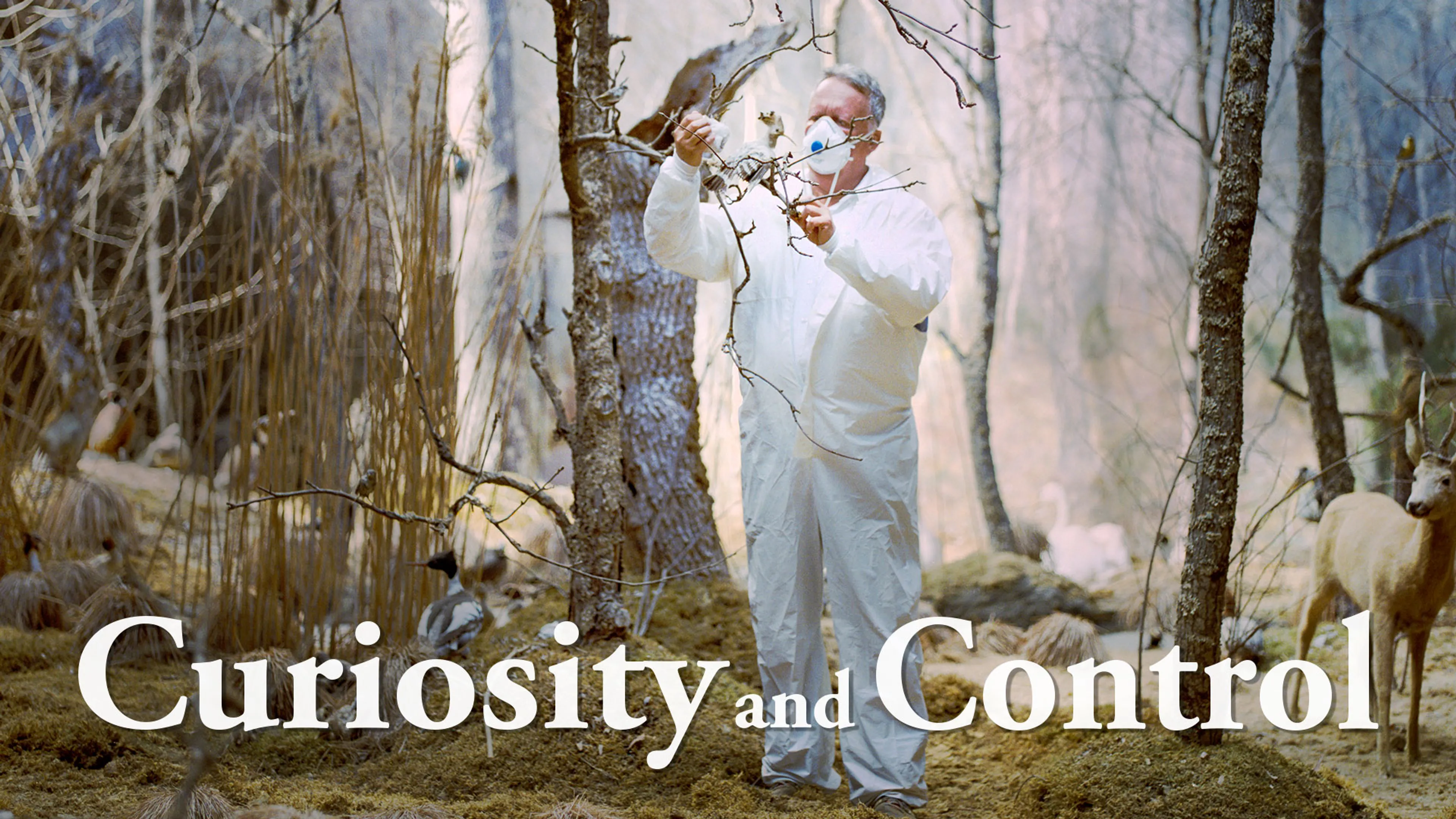 Curiosity and Control poster